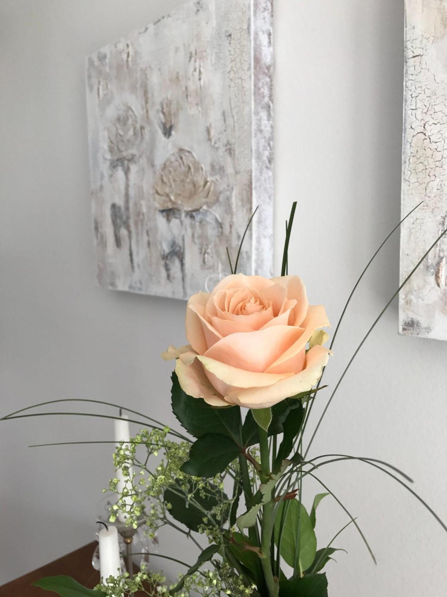 Sylter Rose Apartment *